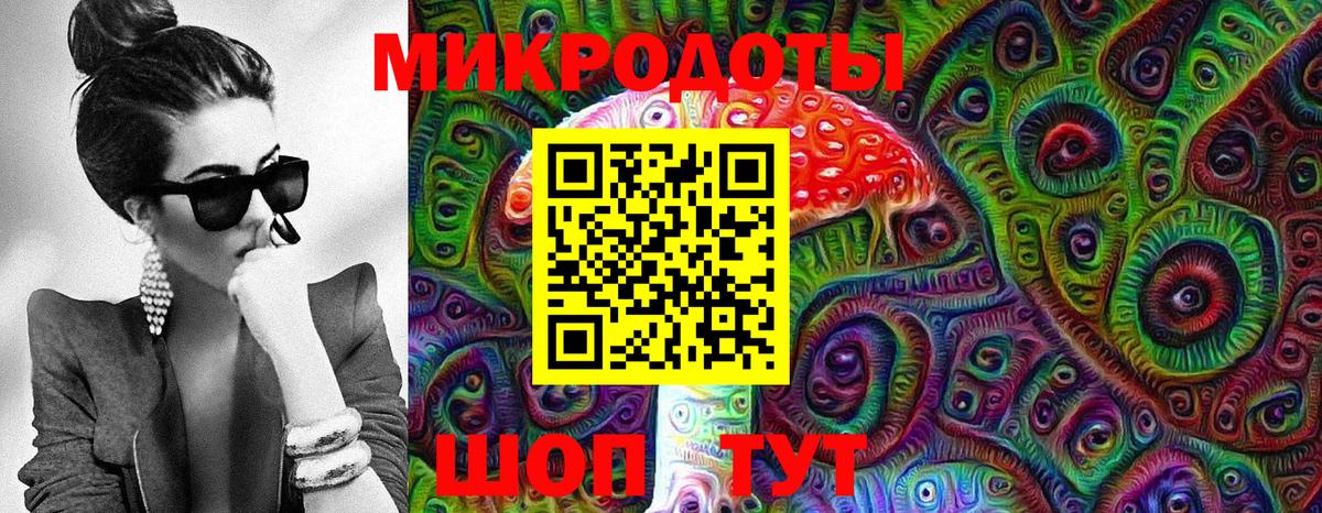Псилоцибиновые грибы Psilocybine cubensis Куйбышев