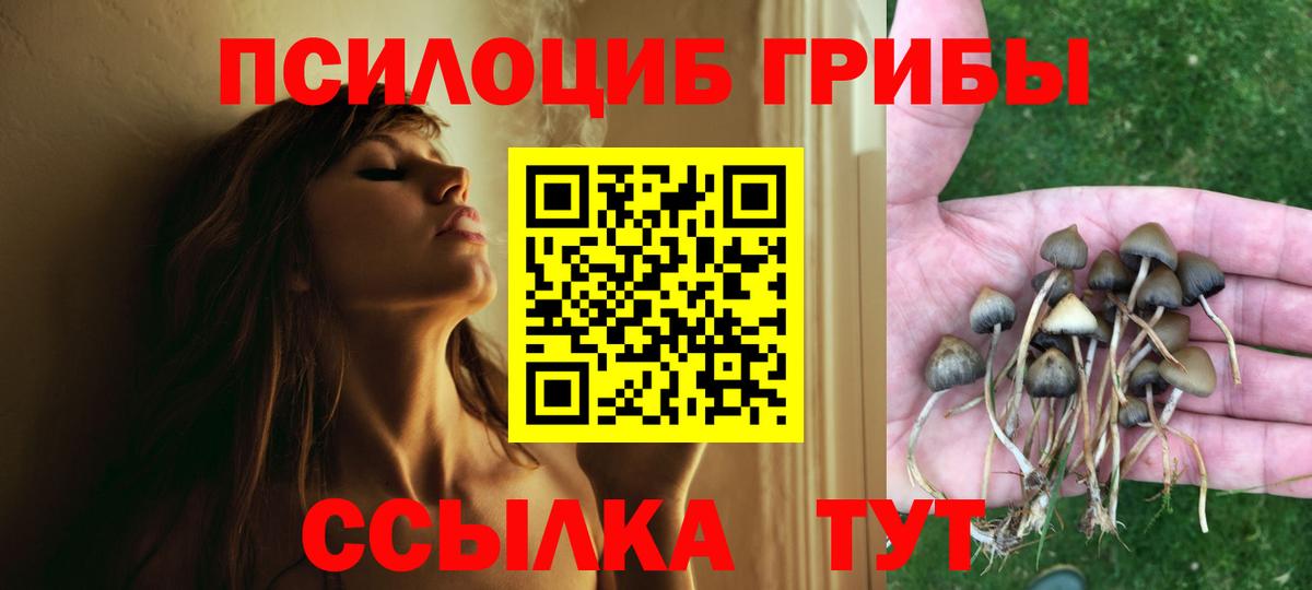 Куйбышев  Псилоцибиновые грибы мухоморы  Вход с VPN 